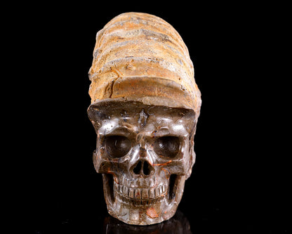 5.2" Foraminifera Fossil Hand Carved Crystal Skull Sculpture