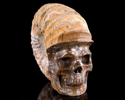 5.2" Foraminifera Fossil Hand Carved Crystal Skull Sculpture