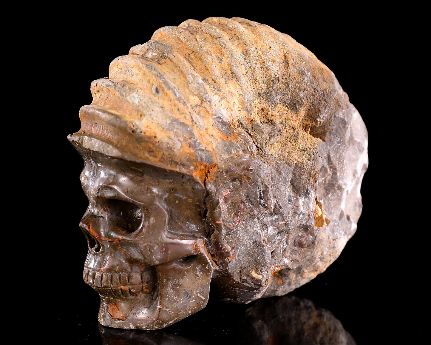 5.2" Foraminifera Fossil Hand Carved Crystal Skull Sculpture