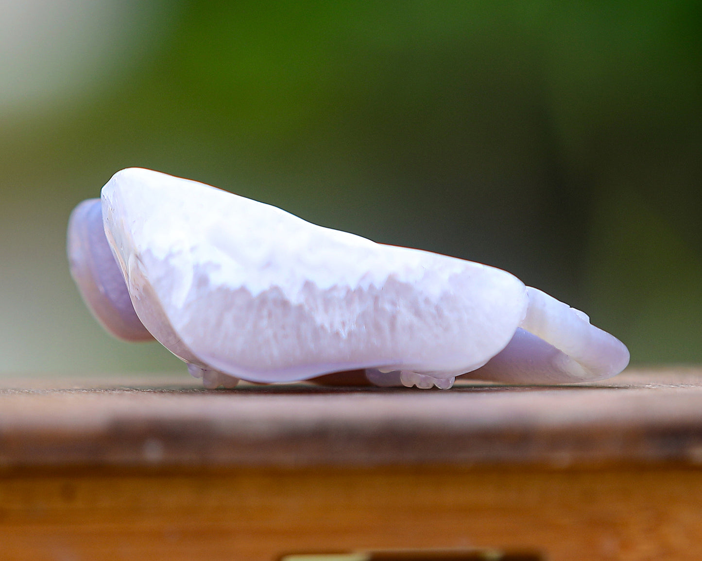 4.6" Amethyst Geode Agate Hand Carved Crystal Lizard Sculpture