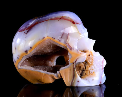 6.3" Blue Chalcedony Hand Carved Crystal Realistic Skull Sculpture