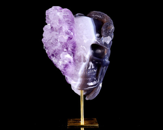 7.9" Amethyst Druse Agate Hand Carved Mineral Specimen Skull Sculpture