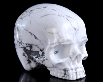 4.0" Howlite Hand Carved Crystal Skull Sculpture