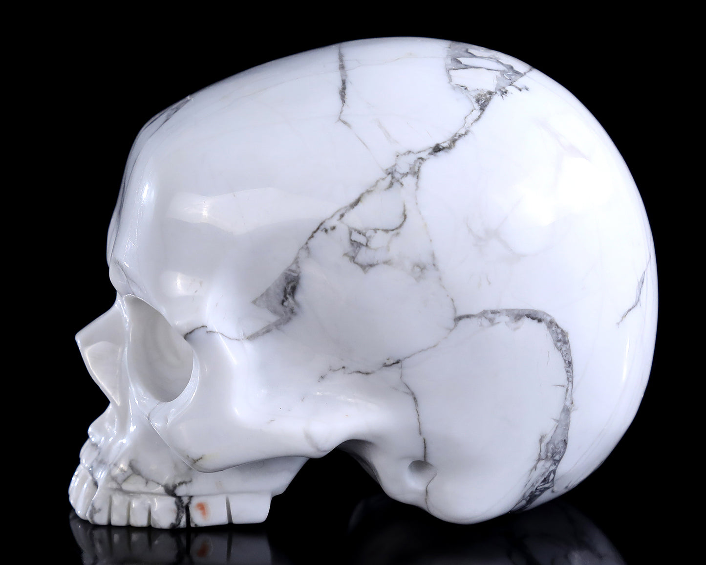 4.0" Howlite Hand Carved Crystal Skull Sculpture