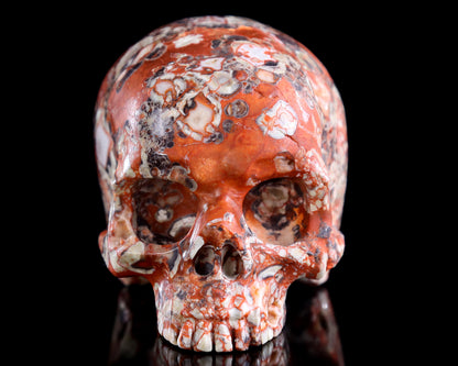 4.0" Coin Agate Hand Carved Crystal Skull Sculpture