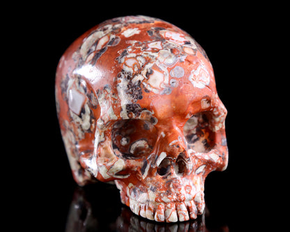 4.0" Coin Agate Hand Carved Crystal Skull Sculpture