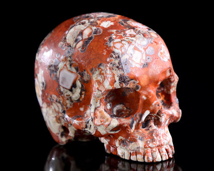 4.0" Coin Agate Hand Carved Crystal Skull Sculpture