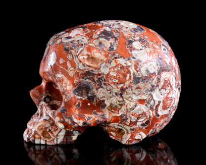 4.0" Coin Agate Hand Carved Crystal Skull Sculpture