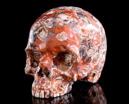 4.0" Coin Agate Hand Carved Crystal Skull Sculpture