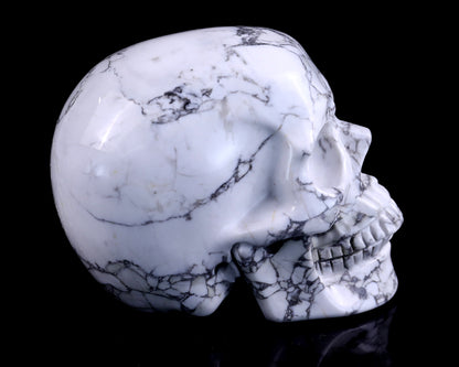 4.3" Howlite Hand Carved Crystal Realistic Skull Sculpture