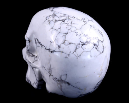 4.3" Howlite Hand Carved Crystal Realistic Skull Sculpture