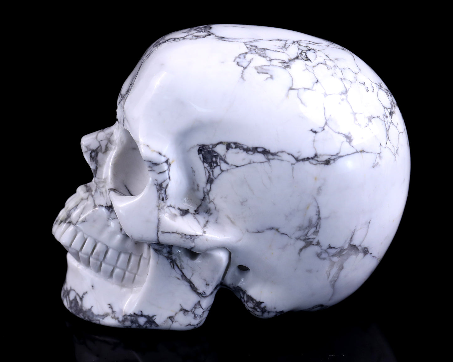 4.3" Howlite Hand Carved Crystal Realistic Skull Sculpture