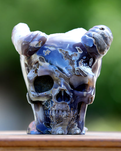 6.0" Quartz Rock Druse Hand Carved Crystal Geode Skull with Horn Sculpture