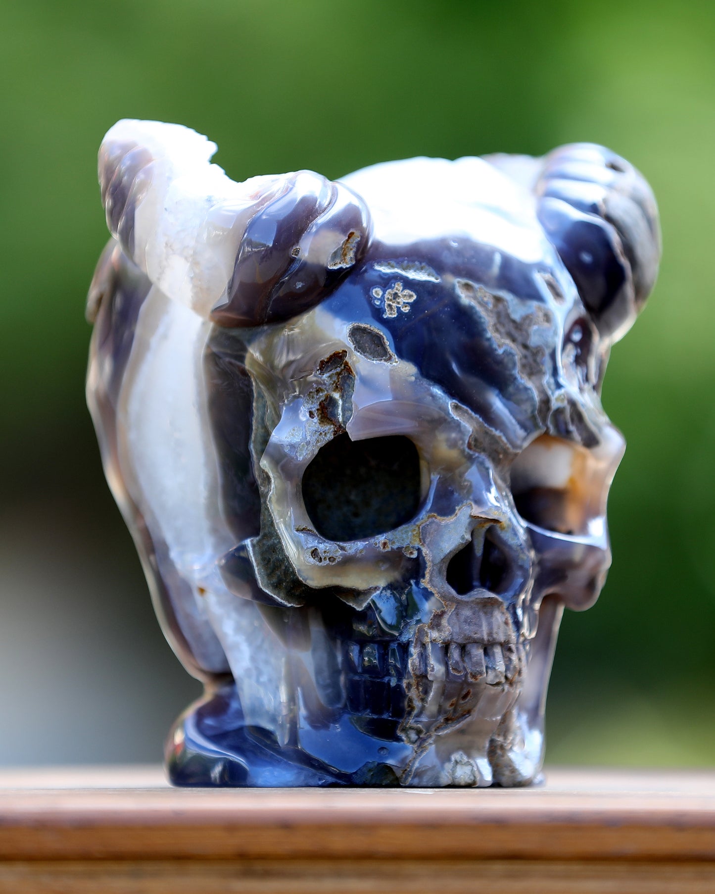 6.0" Quartz Rock Druse Hand Carved Crystal Geode Skull with Horn Sculpture