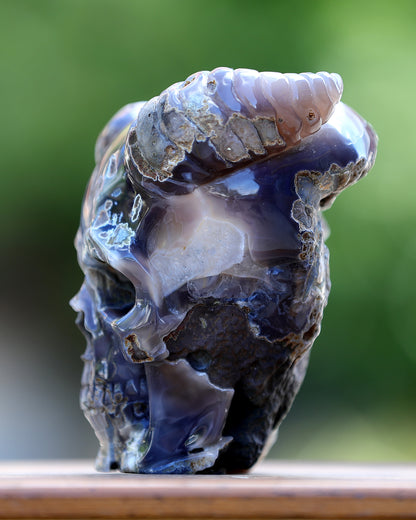 6.0" Quartz Rock Druse Hand Carved Crystal Geode Skull with Horn Sculpture