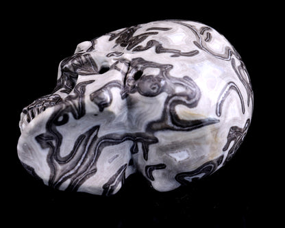 4.3" Black Crazy Lace Agate Hand Carved Crystal Realistic Skull Sculpture