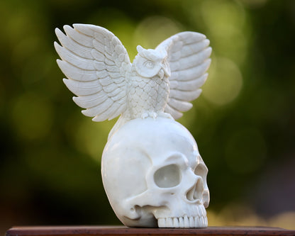 8.9" White Jade Hand Carved Crystal Skull and Owl Sculpture