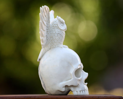 8.9" White Jade Hand Carved Crystal Skull and Owl Sculpture