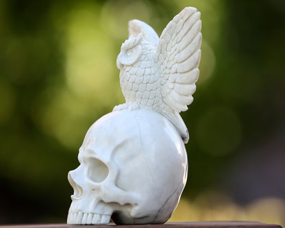 8.9" White Jade Hand Carved Crystal Skull and Owl Sculpture