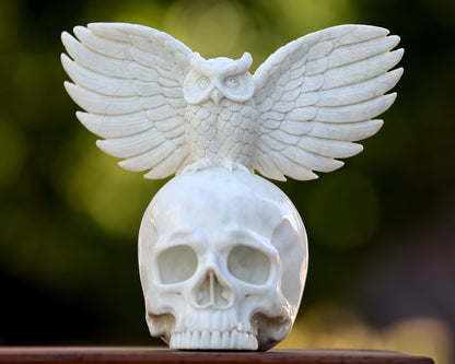 8.9" White Jade Hand Carved Crystal Skull and Owl Sculpture