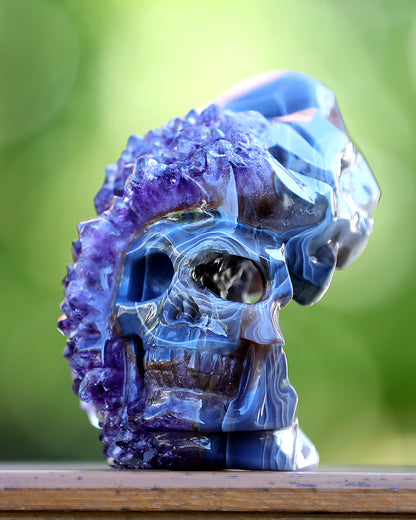 5.0" Amethyst Druse Agate Hand Carved Mineral Specimen Skull Sculpture