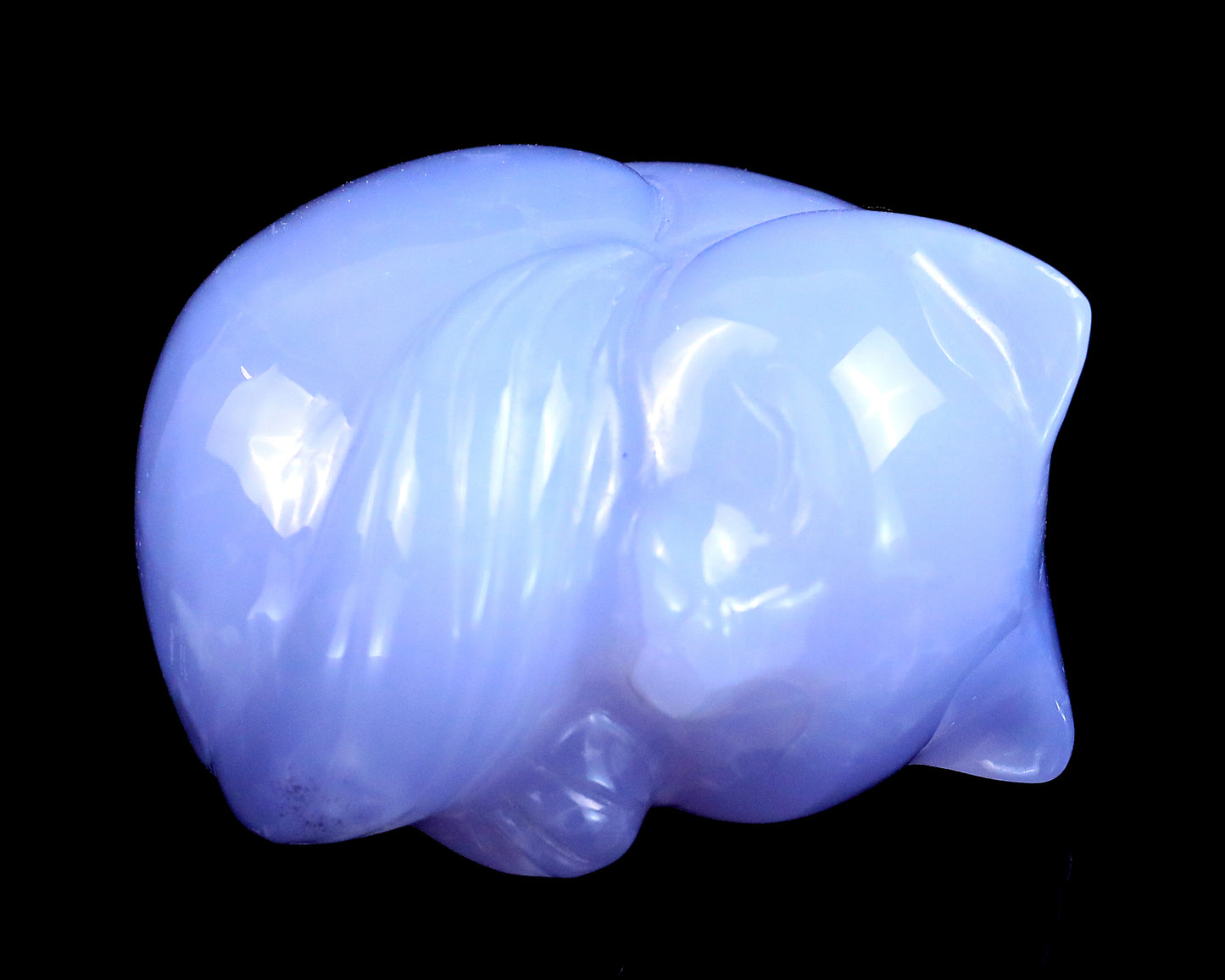 2.5" Blue Chalcedony Hand Carved Crystal Sleepy Cat Sculpture