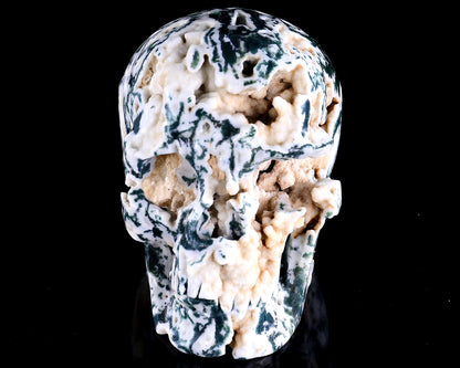 6.4" Moss Agate Hand Carved Crystal Realistic Skull Sculpture