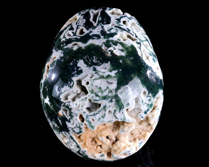 6.4" Moss Agate Hand Carved Crystal Realistic Skull Sculpture