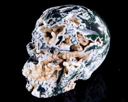 6.4" Moss Agate Hand Carved Crystal Realistic Skull Sculpture