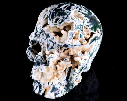 6.4" Moss Agate Hand Carved Crystal Realistic Skull Sculpture