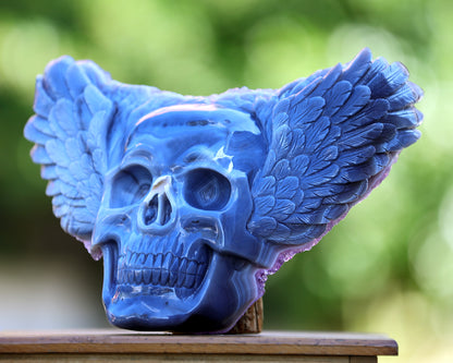 Unique 12.2" Amethyst Druse Agate Hand Carved Skull Wings Sculpture