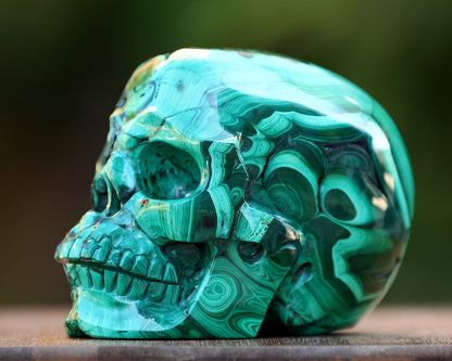 5.5" Natural Malachite Hand Carved Crystal Realistic Skull Sculpture