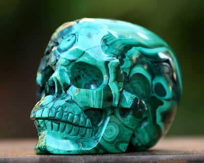 5.5" Natural Malachite Hand Carved Crystal Realistic Skull Sculpture