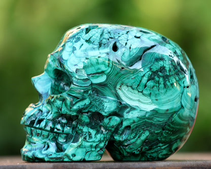 6.0" Natural Malachite Hand Carved Crystal Realistic Skull Sculpture