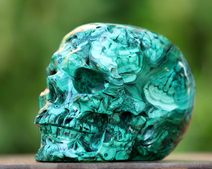 6.0" Natural Malachite Hand Carved Crystal Realistic Skull Sculpture