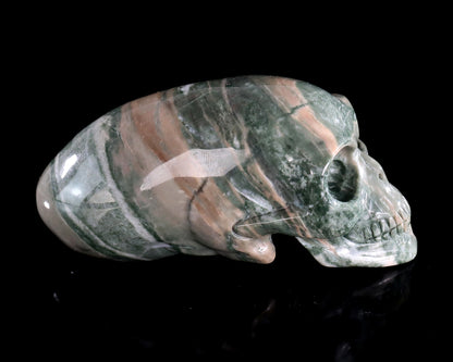 3.9” Natural Jiulong Jade Hand Carved Crystal Elongated Mayan Alien Skull Sculpture