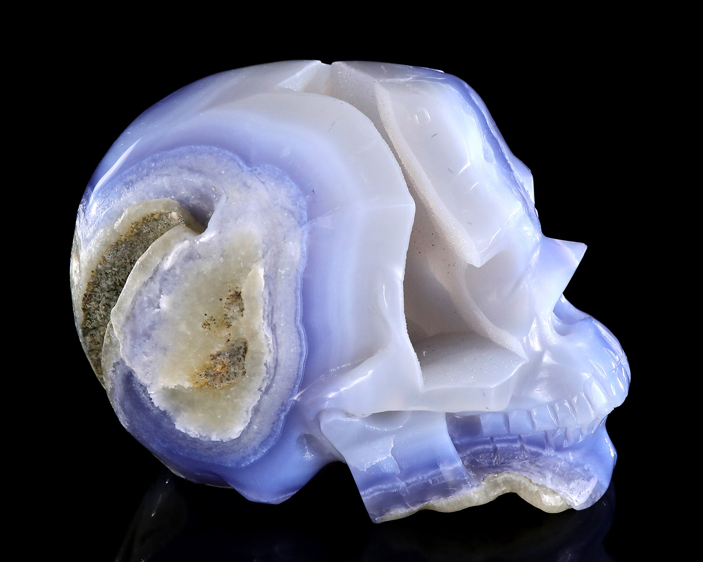 5.8" Blue Lace Agate Hand Carved Crystal Skull Sculpture