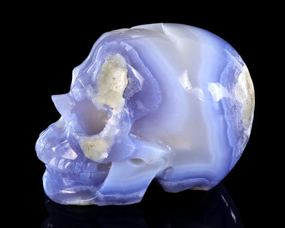 5.8" Blue Lace Agate Hand Carved Crystal Skull Sculpture