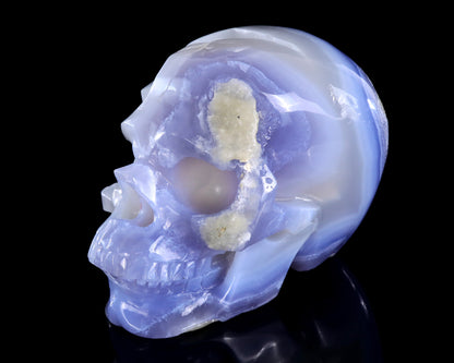 5.8" Blue Lace Agate Hand Carved Crystal Skull Sculpture