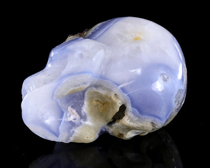 5.3" Blue Lace Agate Hand Carved Crystal Skull Sculpture