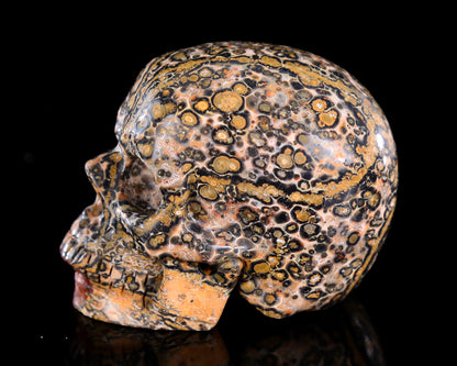 3.0" Leopard Skin Jasper Hand Carved Crystal Skull Sculpture