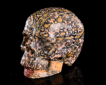 3.0" Leopard Skin Jasper Hand Carved Crystal Skull Sculpture