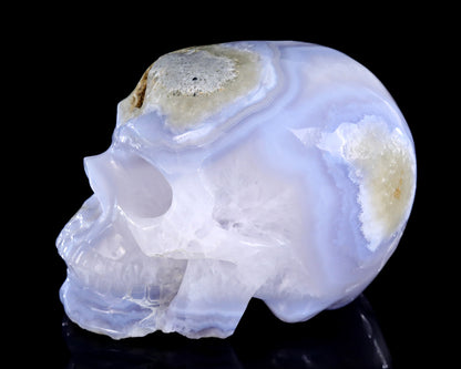 5.3" Blue Lace Agate Hand Carved Crystal Skull Sculpture