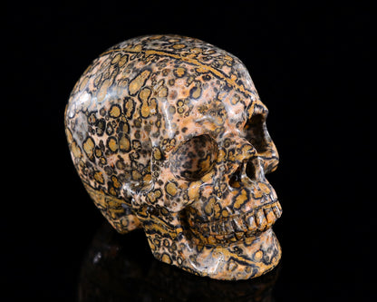 3.0" Leopard Skin Jasper Hand Carved Crystal Skull Sculpture