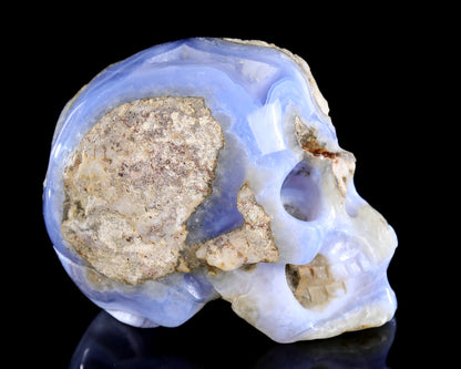 5.2" Blue Lace Agate Hand Carved Crystal Skull Sculpture