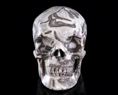 4.4" Black Crazy Agate Hand Carved Crystal Skull Sculpture