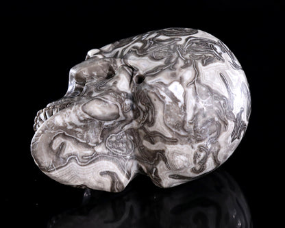 4.4" Black Crazy Agate Hand Carved Crystal Skull Sculpture