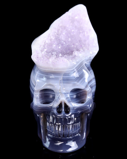 5.6" Amethyst Druse Agate Hand Carved Crystal Skull Sculpture