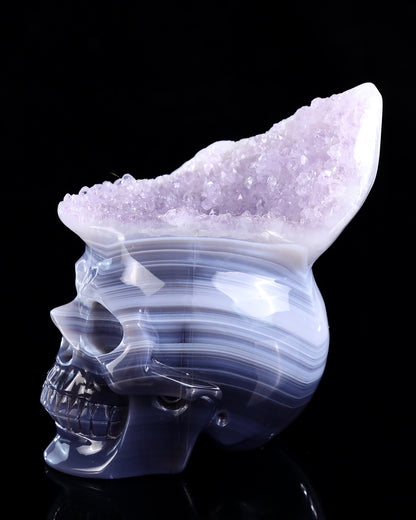 5.6" Amethyst Druse Agate Hand Carved Crystal Skull Sculpture