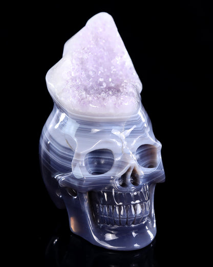 5.6" Amethyst Druse Agate Hand Carved Crystal Skull Sculpture